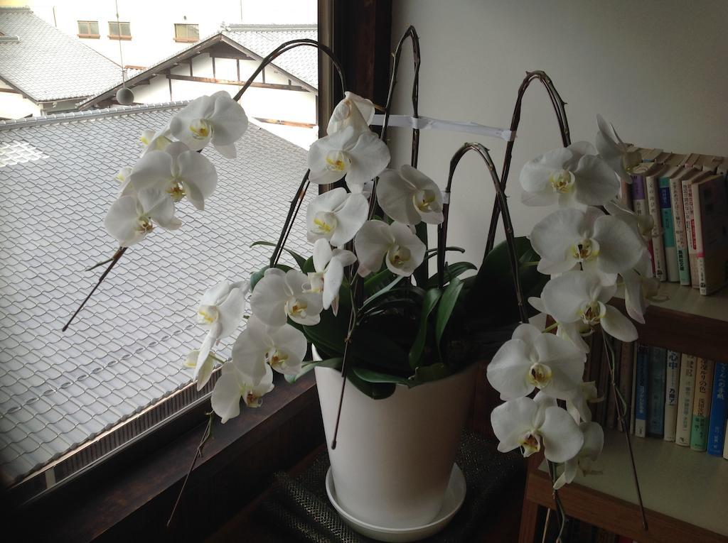 Ryoso Kawaguchi Hotel Hatsukaichi Eksteriør billede